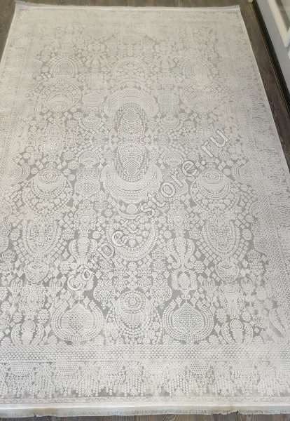 2958E B.O.GRAY/OPTIC